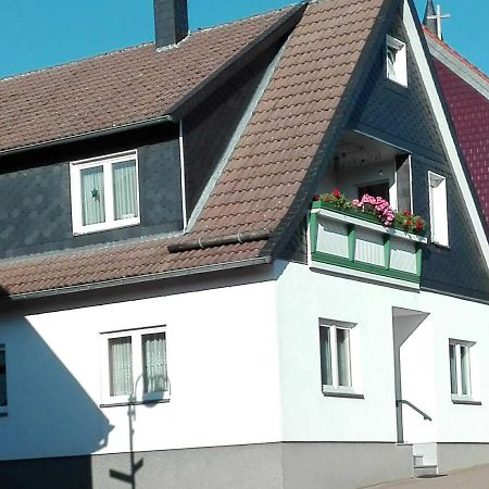 Ferienwohnung "Loni" Benneckenstein Bagian luar foto