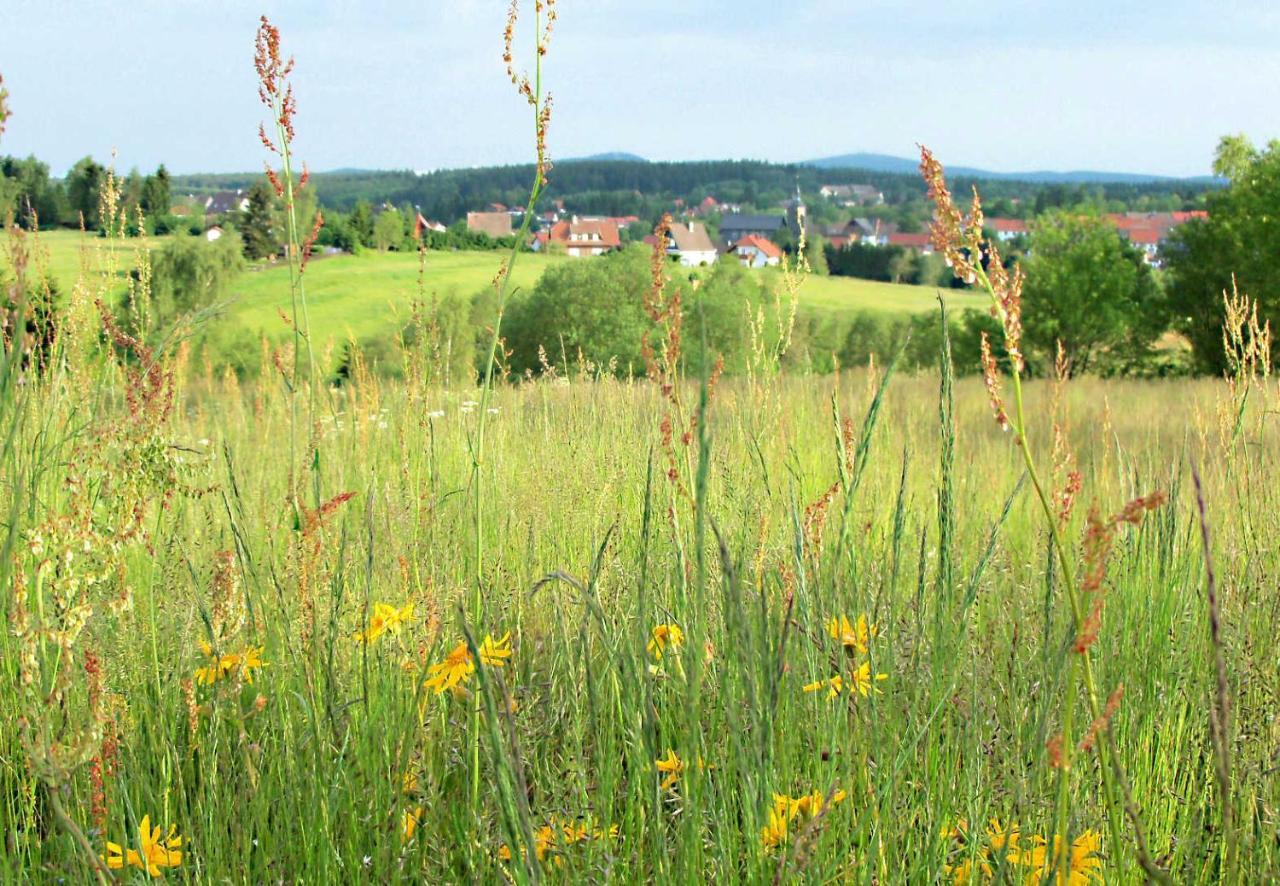 Ferienwohnung "Loni" Benneckenstein Bagian luar foto