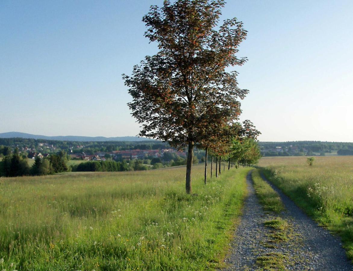 Ferienwohnung "Loni" Benneckenstein Bagian luar foto